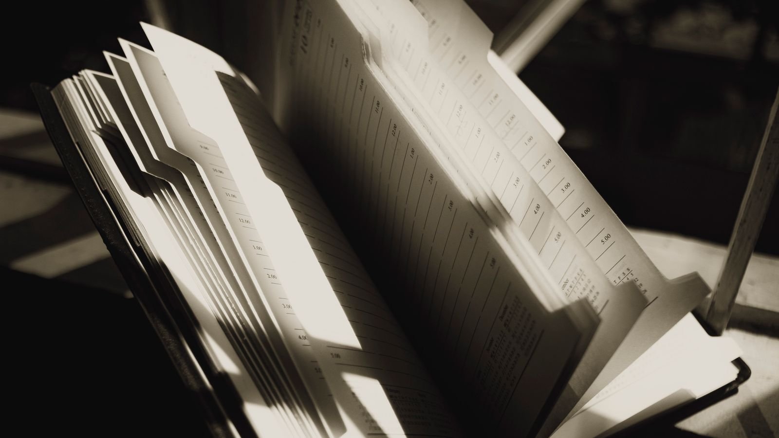 Person planning tasks in a notebook
